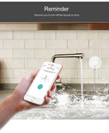 Water Leak Detector