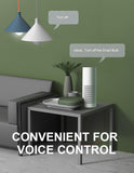 Smart Light Bulb