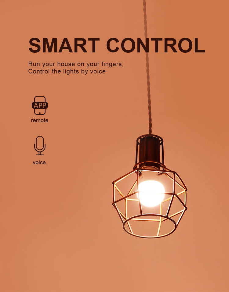 Smart Light Bulb