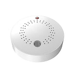 Gas Detector