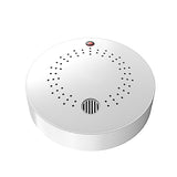Gas Detector