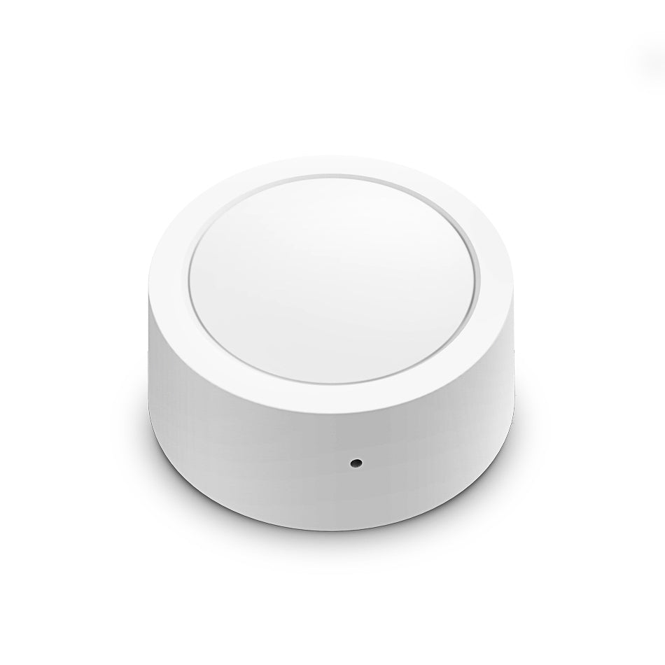 Multi-Function Button