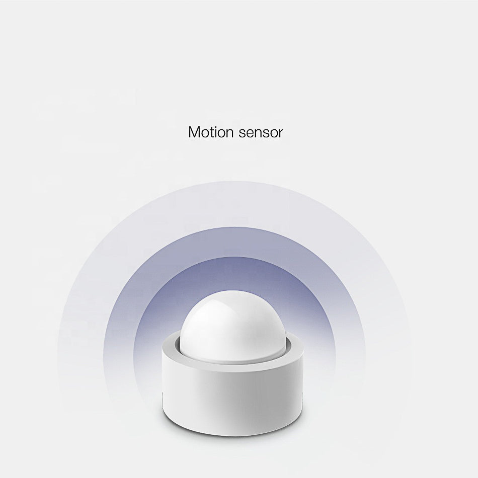 Motion Sensor