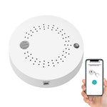 Gas Detector