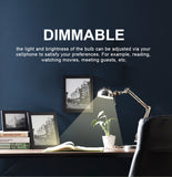 Smart Light Bulb