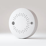 Gas Detector