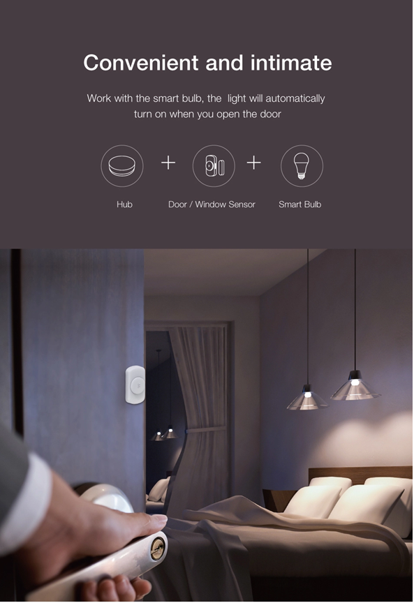 Door and Window Sensor